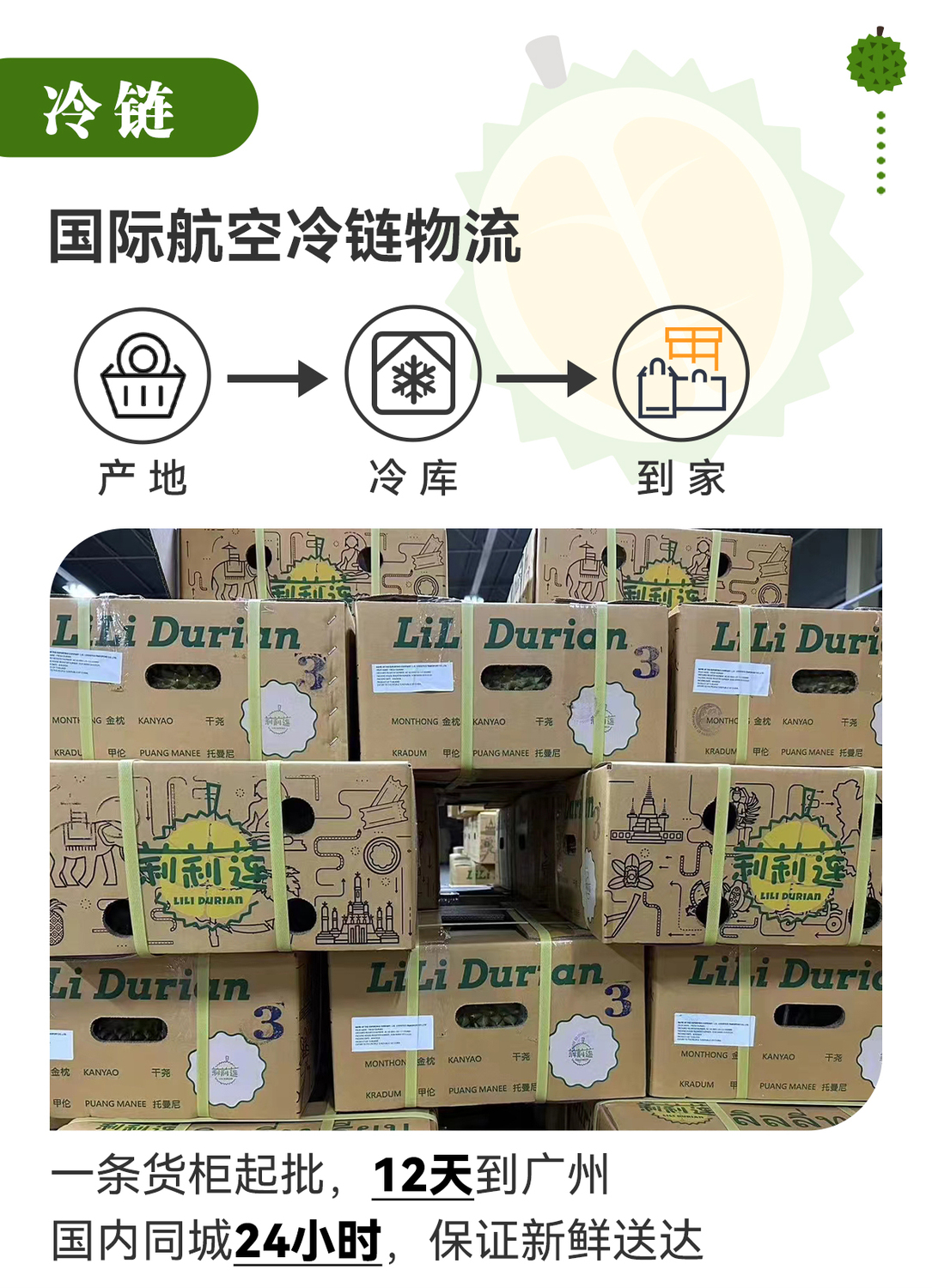聯邦隆榴蓮詳情圖_05.jpg