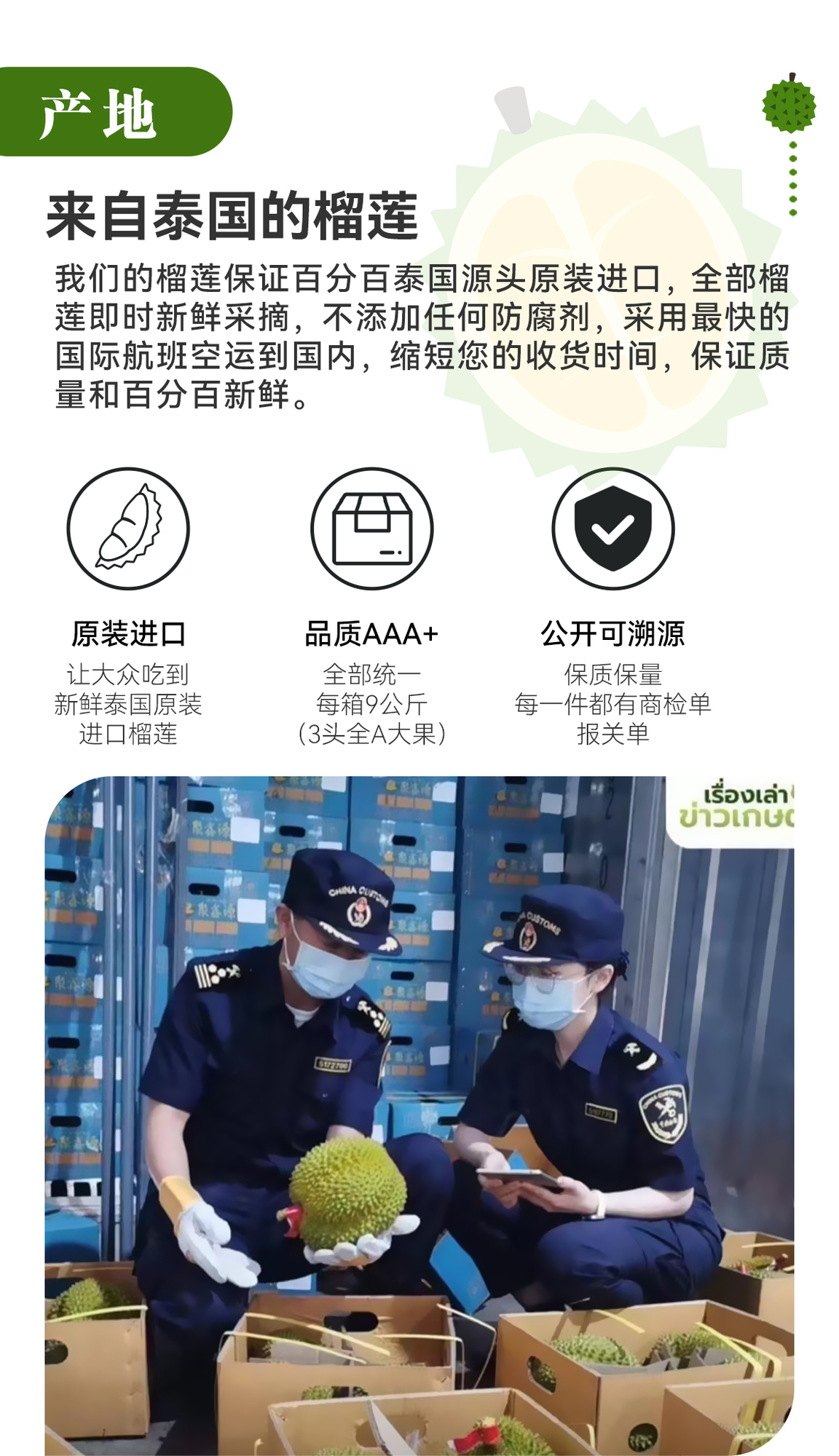 聯邦隆榴蓮詳情圖_04.jpg